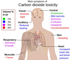 How CO2 affects the body